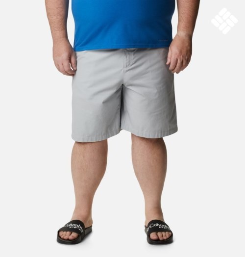Men's Columbia PFG Bonehead II Shorts Light Grey | Plus Size CA-X0C3L